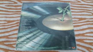 Strawbs 1976 Deep Cuts Oyster, Polydor Canada