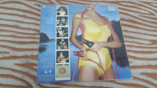 Grand Funk	1983	What's Funk?	Full Moon	Canada	