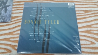Bonnie Tyler	1991	Bitterblue	Hansa	Germany