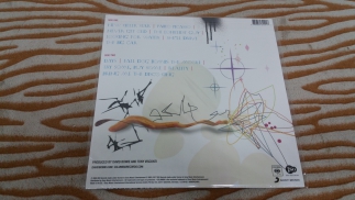 David Bowie 2003 Reality