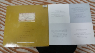 Sinéad O'Connor	1987	The Lion And The Cobra	Chrysalis	Germany