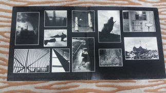 Pink Floyd	1977	Animals	Harvest 	Germany	