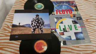 Pink Floyd	1988	Delicate Sound Of Thunder (PF Live)	